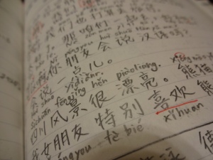 Author's notebook for the Chinese Class (January 21, 2013, photo taken by author)