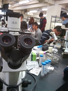 Students working at the laboratory. 